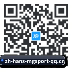 系统版 iOS 二维码